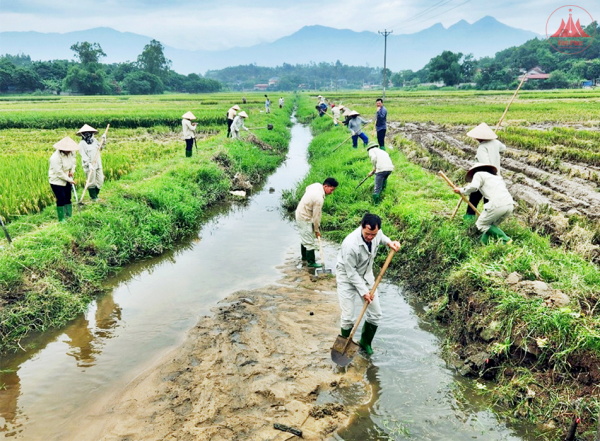 Khơi thông “huyết mạch” những cánh đồng