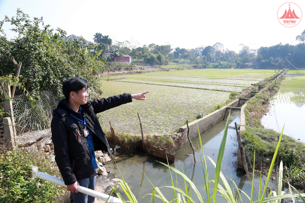 Khơi thông “huyết mạch” những cánh đồng