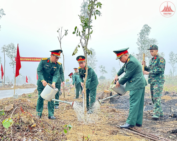 Bộ Chỉ huy quân sự tỉnh phát động "Tết trồng cây đời đời nhớ ơn Bác Hồ"