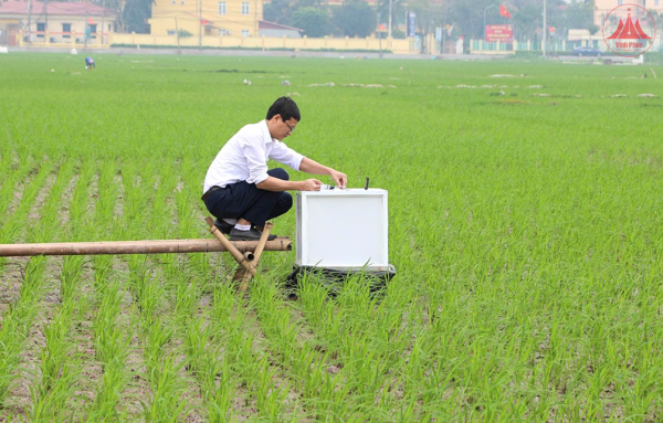 Triển khai quy trình canh tác lúa bền vững với phương pháp tưới ướt khô xen kẽ