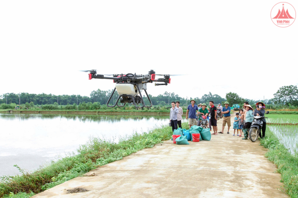 Phát triển vùng sản xuất tập trung hàng hóa, nâng cao giá trị sản phẩm