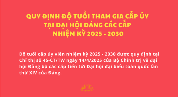 Quy định độ tuổi tham gia cấp ủy tại Đại hội Đảng các cấp nhiệm kỳ 2025 - 2030
