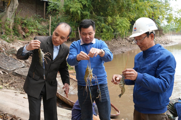 Ứng dụng công nghệ sinh học trong nuôi trồng thủy sản