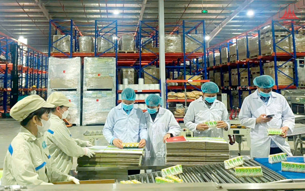 Tăng cường kiểm tra, xử lý nghiêm các cơ sở kinh doanh thực phẩm giả