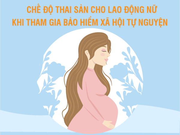 Chế độ thai sản cho lao động nữ khi tham gia Bảo hiểm xã hội tự nguyện