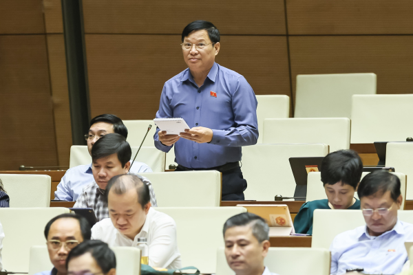 Đại biểu Quốc hội tỉnh góp ý xây dựng dự thảo Nghị quyết của Quốc hội về một số cơ chế, chính sách đặc biệt phát triển kinh tế tư nhân