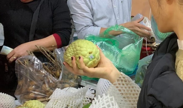 Kiểm tra việc dùng chất tăng trưởng hoa quả, hoá chất tăng trọng