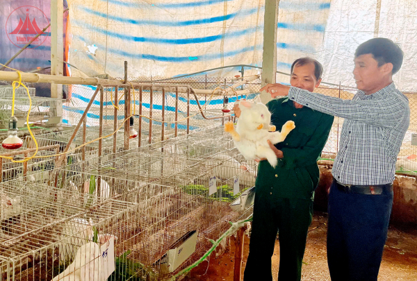Cựu chiến binh Nguyễn Quang Sơn làm kinh tế giỏi