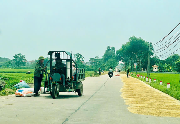 Phối hợp xử lý hành vi tuốt lúa, phơi rơm rạ, thóc lúa và đốt rơm rạ trên lòng đường