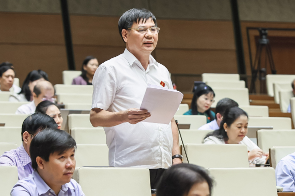 Đại biểu Quốc hội tỉnh thảo luận về dự án Luật sửa đổi, bổ sung một số điều của Bộ luật Hình sự