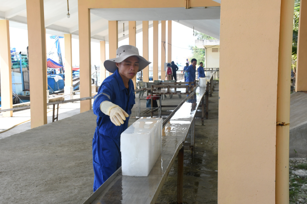 Điểm tựa cho ngư dân vươn khơi bám biển