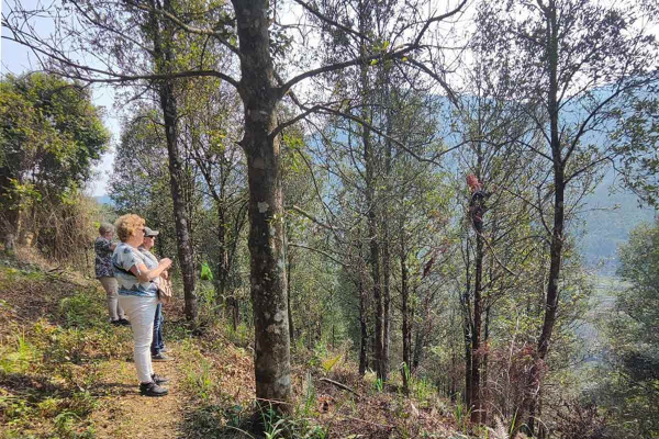 Cung đường trekking đẹp hoang sơ ít người biết ở Bình Liêu