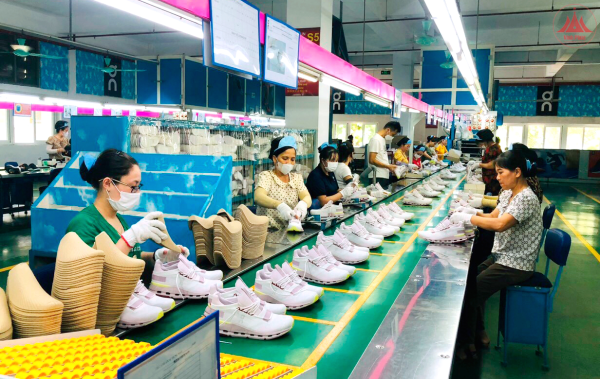 Tam Dương nỗ lực đạt mục tiêu tăng trưởng 2 con số