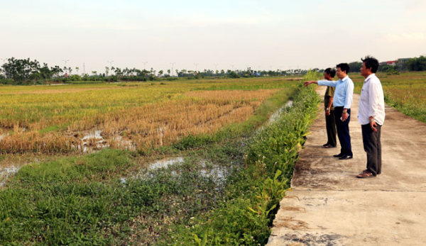 Bàn giao đất cho xã Đồng Cương để thực hiện đầu tư xây dựng khu đất dịch vụ, đất đấu giá quyền sử dụng đất