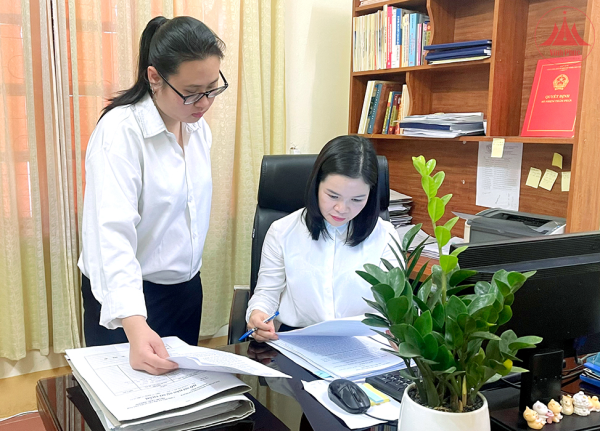 Ngành Tòa án chủ động sắp xếp bộ máy