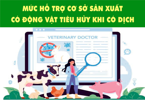Mức hỗ trợ cơ sở sản xuất có động vật tiêu hủy khi có dịch
