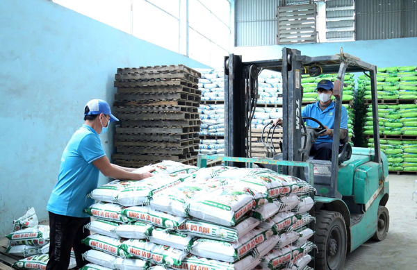 Từng bước hình thành hệ sinh thái phát triển doanh nghiệp tư nhân