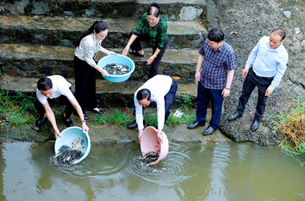 Hơn 3 tấn cá được thả để bảo vệ và tái tạo nguồn lợi thủy sản