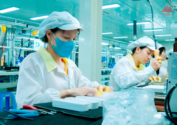 Doanh nghiệp trong kỷ nguyên vươn mình