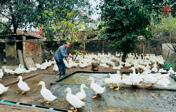 Tạo “đòn bẩy” phát triển kinh tế từ tín dụng chính sách