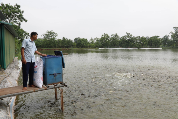 Mô hình nuôi cá thâm canh gắn với liên kết tiêu thụ sản phẩm cho lợi nhuận 100 triệu đồng/ha