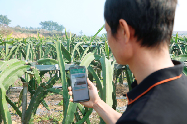 Hợp tác xã nông nghiệp Thành Hưng xây dựng thương hiệu nông sản hữu cơ
