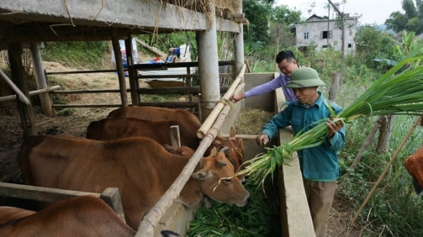 Sau tinh gọn bộ máy, ứng dụng công nghệ là giải pháp bắt buộc