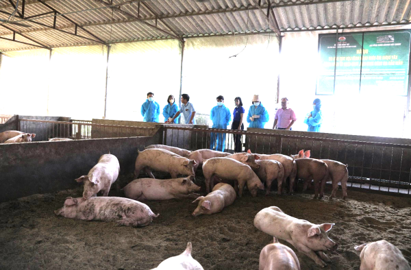 Triển khai kế hoạch hợp tác phát triển nông nghiệp hữu cơ, kinh tế tuần hoàn