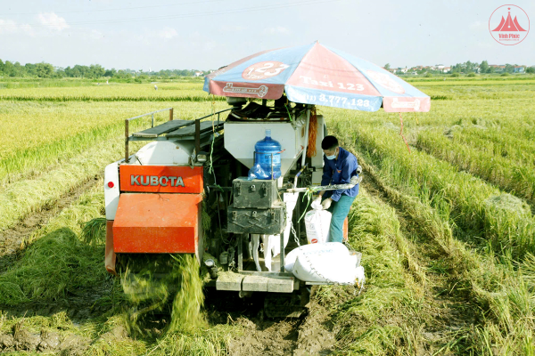 Để nông dân vững bước ra khỏi 