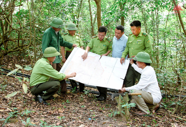 Chủ động phòng cháy, chữa cháy rừng ở địa bàn giáp ranh