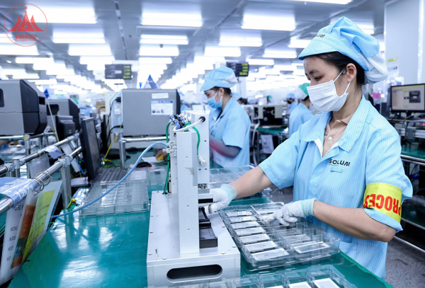 Tăng cường ngoại giao kinh tế, thúc đẩy đầu tư