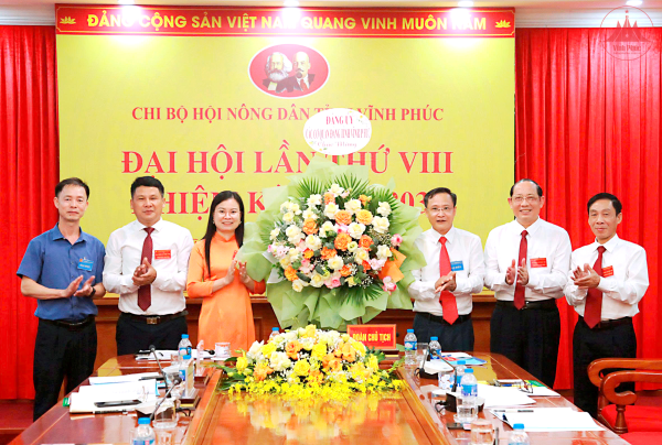 Đại hội Chi bộ Hội Nông dân tỉnh lần thứ VIII