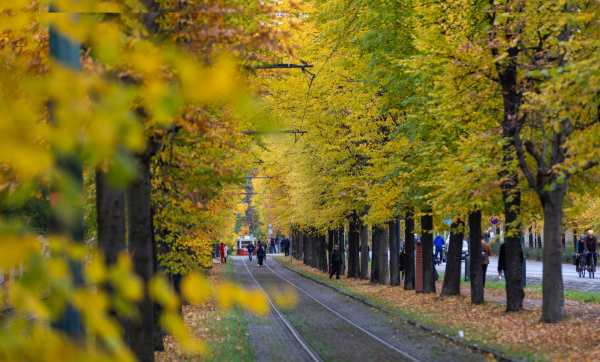 Sắc thu đến sớm ở Prague