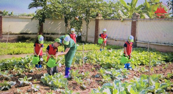  VƯỜN RAU TRƯỜNG HỌC NUÔI DƯỠNG TÌNH YÊU THIÊN...