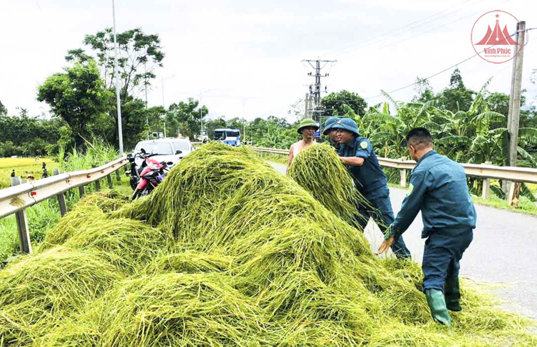 Tam Dương khôi phục sản xuất, ổn định đời sống nhân dân