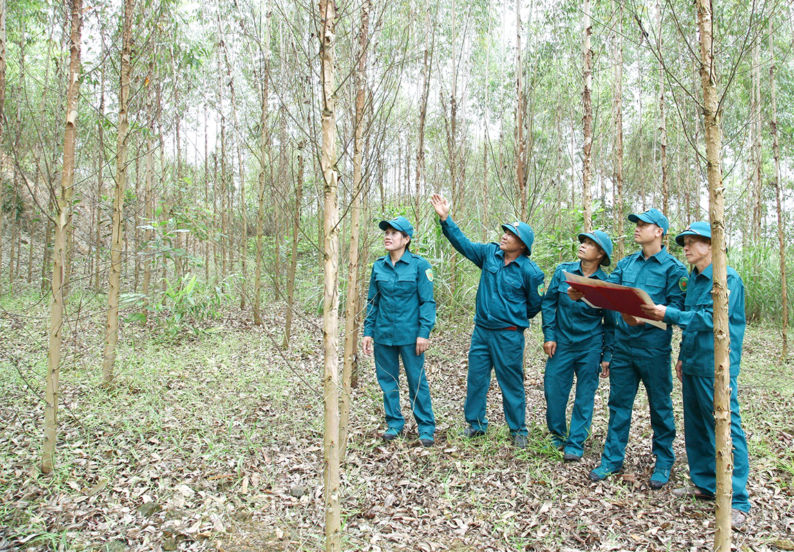 Ban CHQS huyện Tam Đảo: Nâng cao năng lực hiệp đồng ứng phó với sự cố cháy rừng