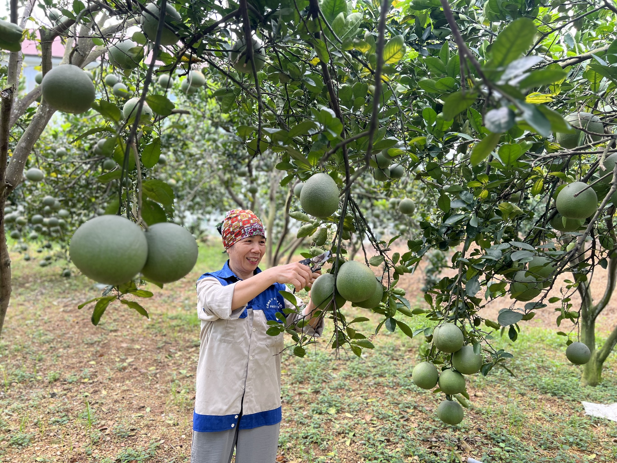 Phúc Yên khắc ghi lời Bác dạy