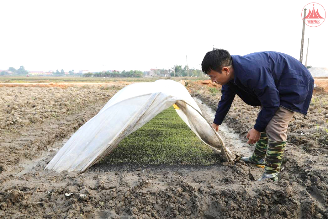 Ứng phó thời tiết cực đoan dịp Tết Nguyên đán