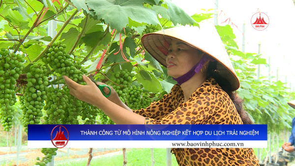  THÀNH CÔNG TỪ MÔ HÌNH NÔNG NGHIỆP KẾT HỢP DU...