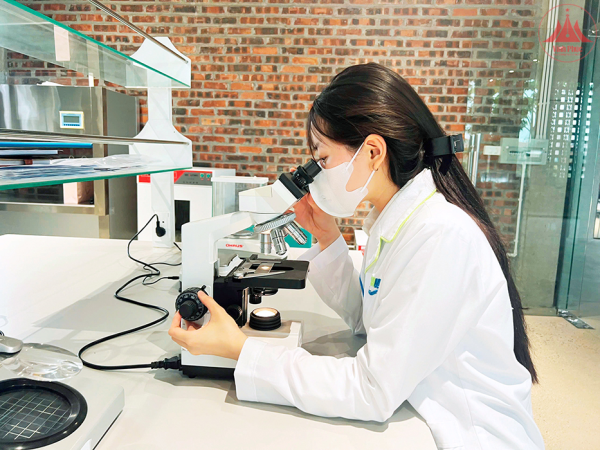 Hỗ trợ doanh nghiệp nhỏ và vừa chuyển đổi kép, phát triển bền vững
