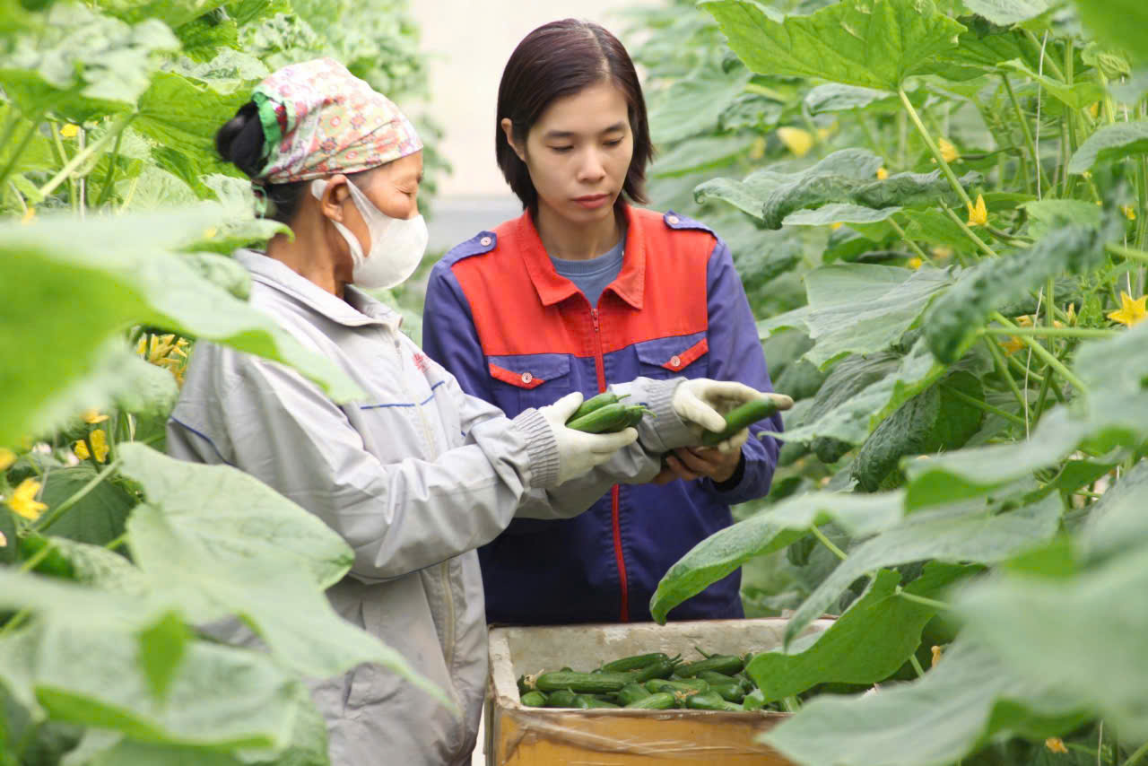Nâng cao đời sống cho người dân