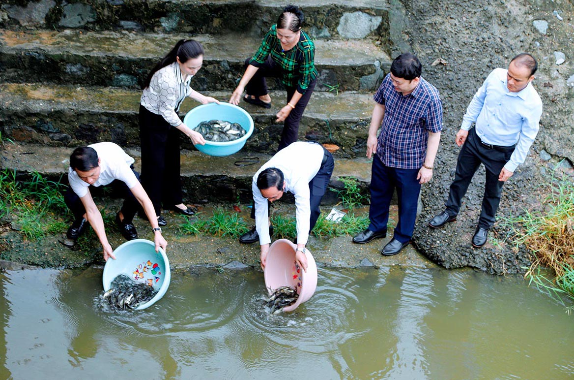 Hơn 3 tấn cá được thả để bảo vệ và tái tạo nguồn lợi thủy sản