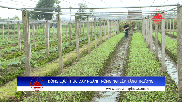 ĐỘNG LỰC THÚC ĐẨY NGÀNH NÔNG NGHIỆP TĂNG TRƯỞNG