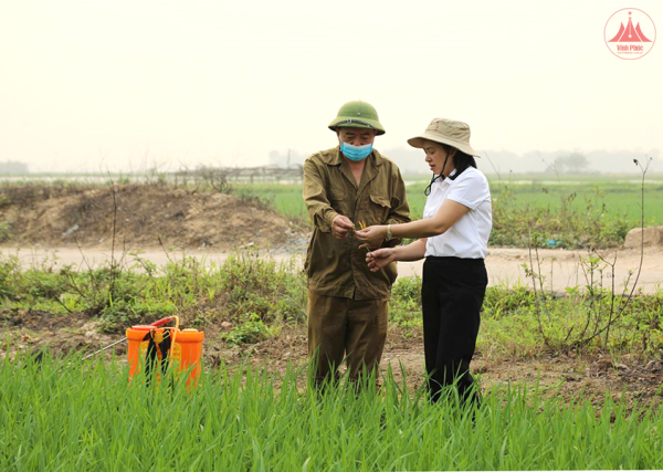 Phòng, chống dịch hại trên cây trồng