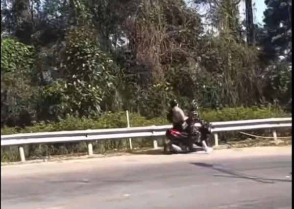 Hai phụ nữ gặp nạn khi lái xe máy đổ đèo Tam Đảo