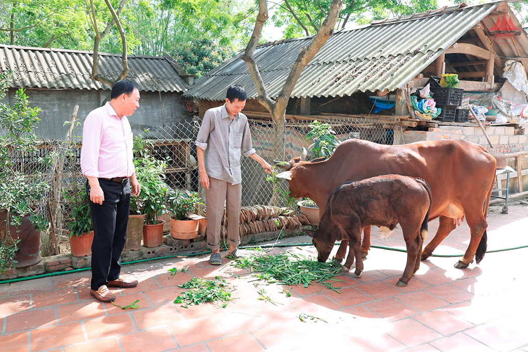 Trao “cần câu”, mở lối thoát nghèo cho lao động nông thôn