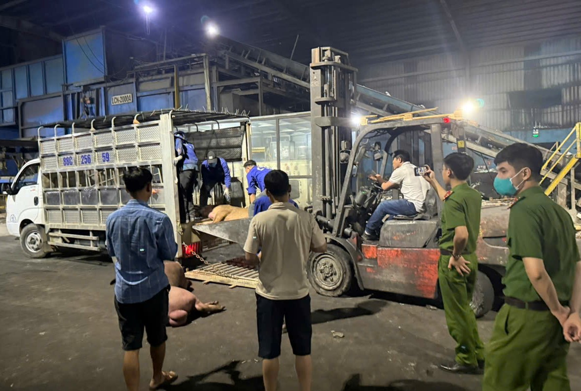 Bắt giữ, xử lý hơn 1.000kg thịt lợn không đảm bảo vệ sinh an toàn thực phẩm